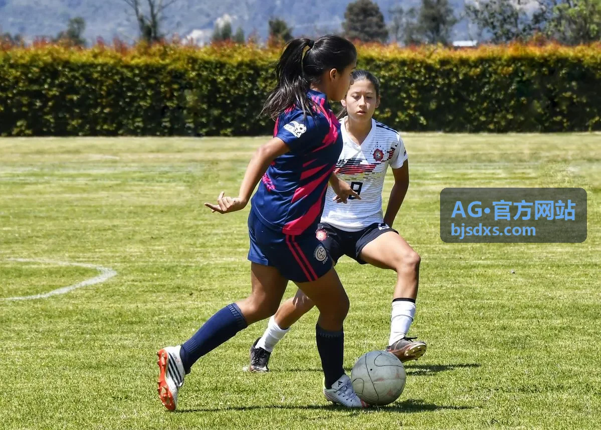 AG·官方网站 桌面标签打印设备